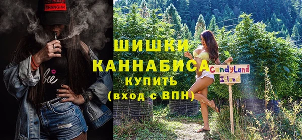 шишки Алзамай