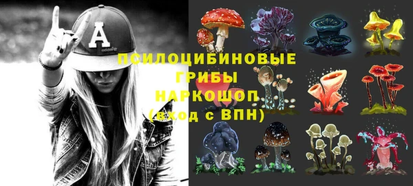 шишки Алзамай