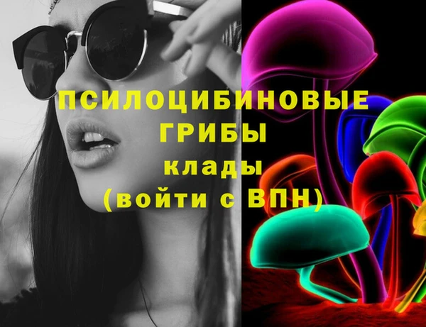 шишки Алзамай