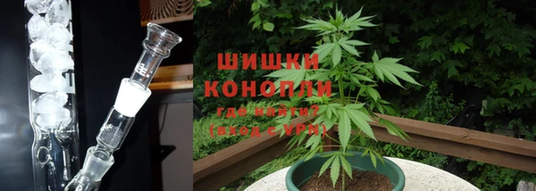 мдпв Магас